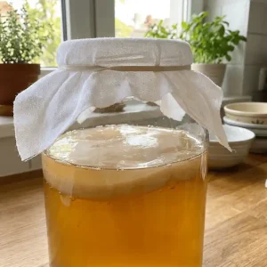 scoby in a jar